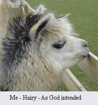 Hairy - as God intended!