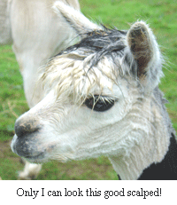 Only I can look this good after scalping!