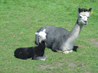 Ted with his mum, Cleo